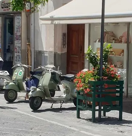 Maison D'art Guest house